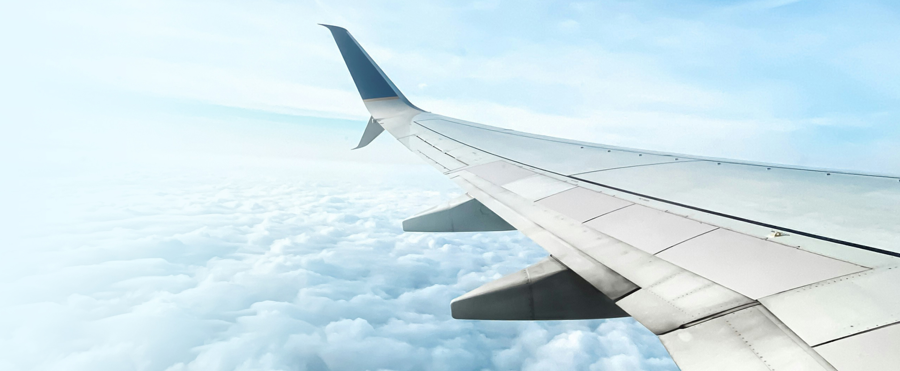 飛行機