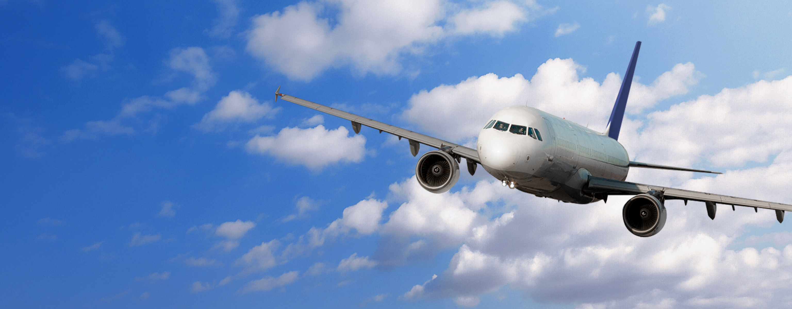 飛行機